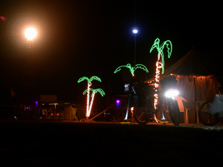 Palm Trees, Burning Man photo