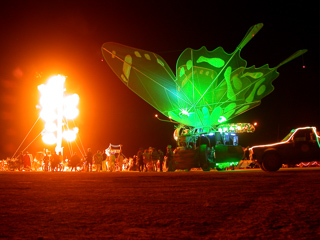 Butterfly at Ein Hammer, Burning Man photo