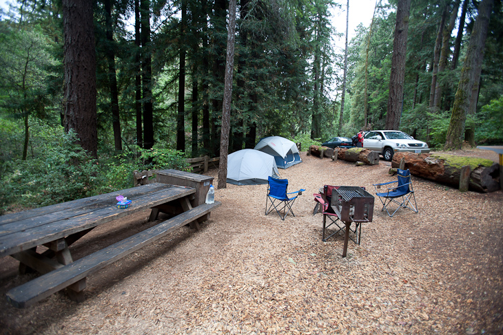 Campsite, Camping with Gil and Milo photo