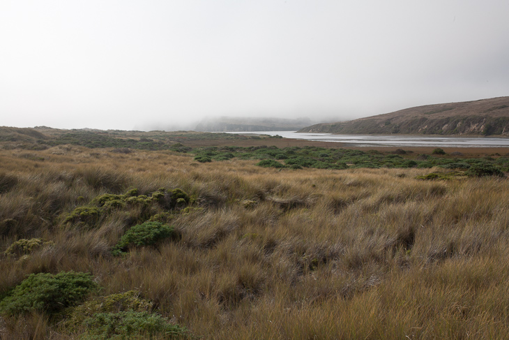 Estero de Limantour, Camping with Gil and Milo photo