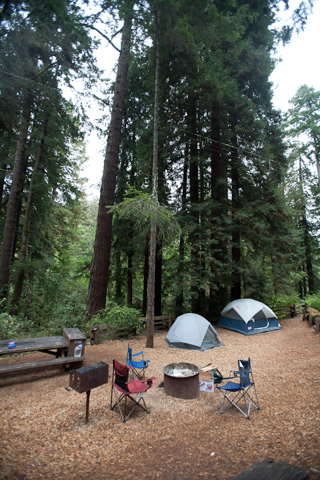 Campsite, Camping with Gil and Milo photo