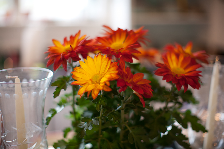 Flowers, Cape Cod photo