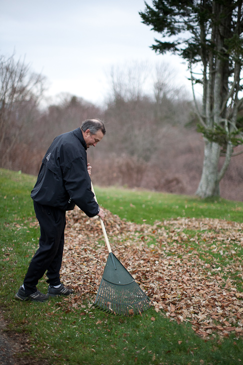 Buck Raking Leaves, Cape Cod photo