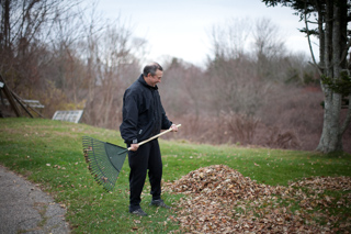 Buck Raking Leaves, Cape Cod photo