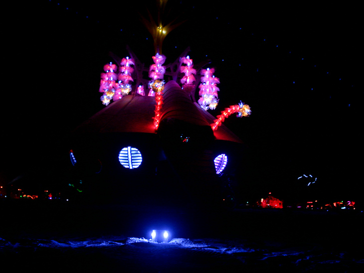 Vast, Burning Man photo