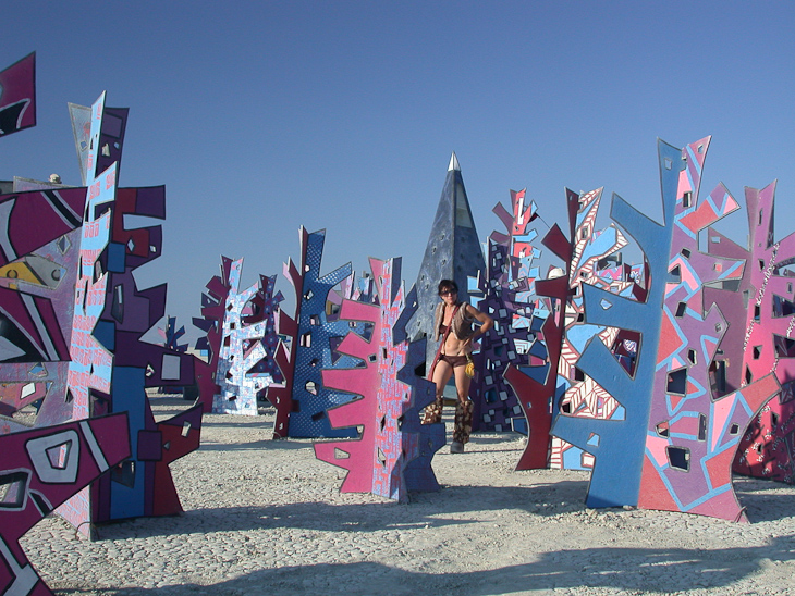 Walkabout Woods, Burning Man photo