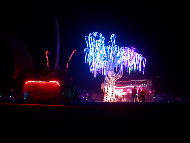 AURORA, Burning Man photo