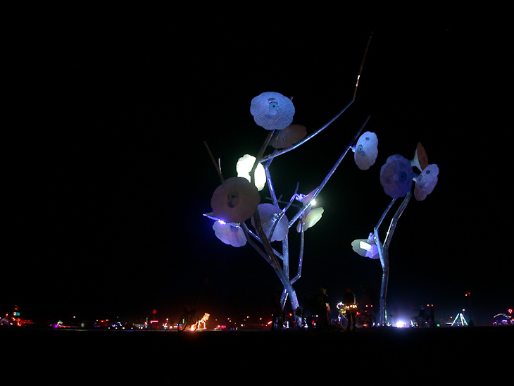 Playa Art, Burning Man photo