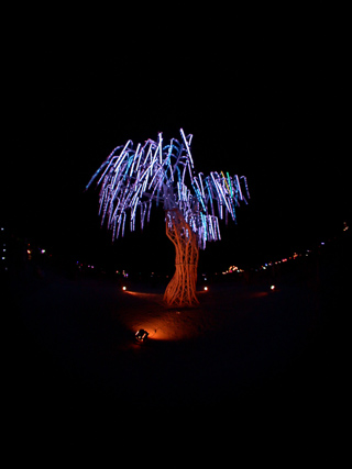 AURORA, Burning Man photo