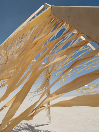 Wind Blown Art, Burning Man photo