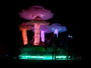 Mushroom Car, Burning Man photo