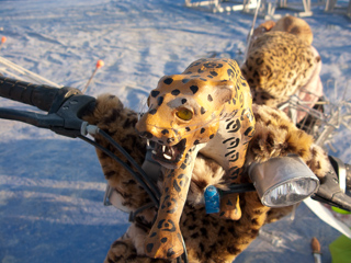 Leopard, Ganesh Camp photo