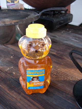 Honey Bear, Ganesh Camp photo