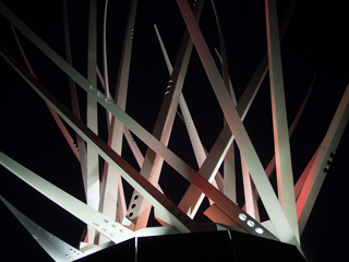 Reno Star Cosmic Thistle, Burning Man photo