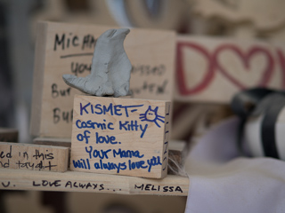 Cosmic Kitty of Love, Burning Man photo