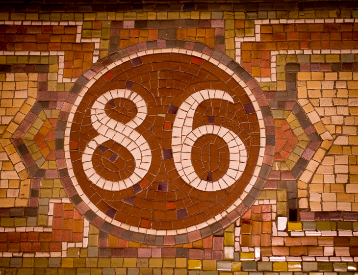 86th Street Station, New York with Aidan photo