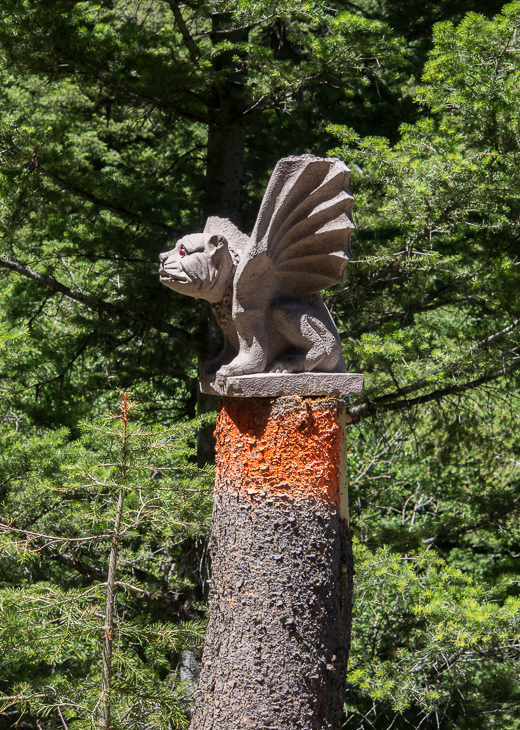 Gargoyle Tree Stump, Dave in Montana photo