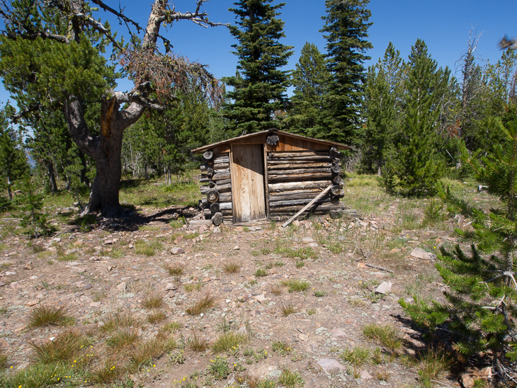 Mountaintop Cabin, Dave in Montana photo