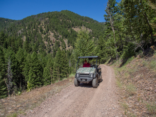 Dave in the Mule, Dave in Montana photo