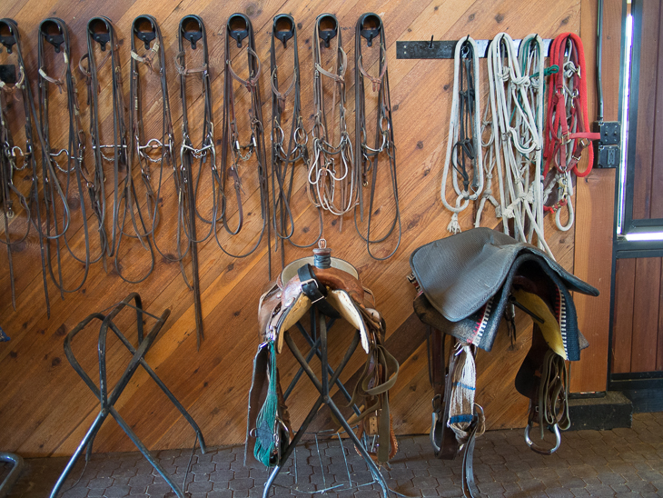 Tack Room, Red Lodge photo