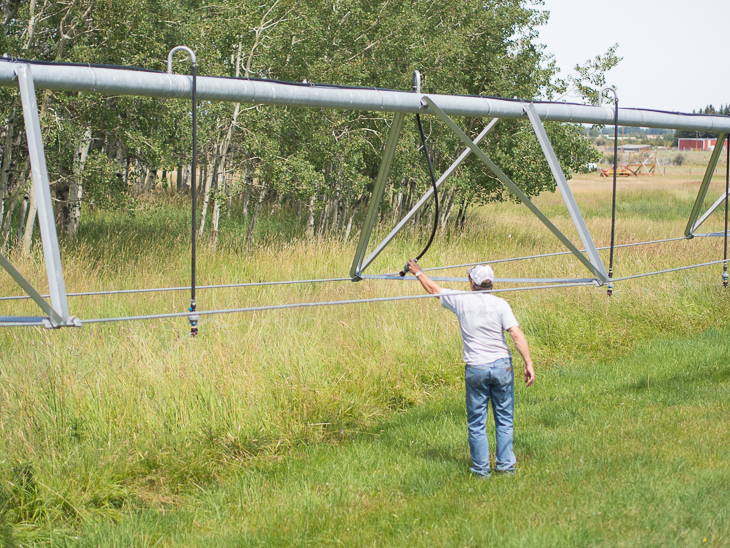Irrigation System, Red Lodge photo