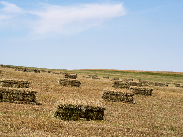 Hay Bales, Red Lodge photo