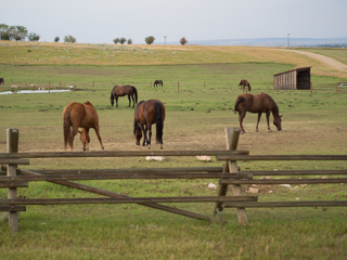 Aspen Ridge Ranch, Red Lodge photo