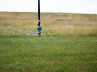 Sprinkler, Red Lodge photo