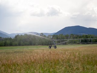 Irrigation System, Red Lodge photo