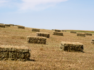 Hay Bales, Red Lodge photo