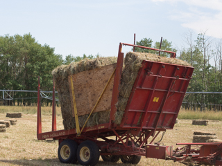 Bale Wagon, Red Lodge photo