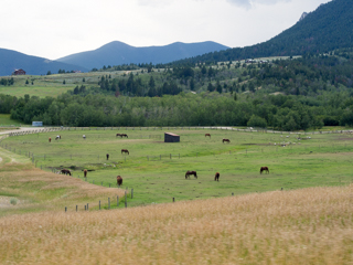 Aspen Ridge Ranch, Red Lodge photo