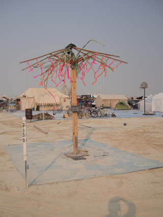 Gifting Tree, Burning Man photo