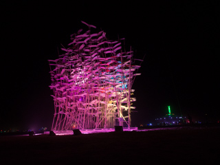 Birds, Burning Man photo