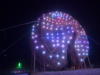 The Year the Playa Stood Still, Burning Man photo