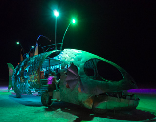 The Pilot Fish, Burning Man photo