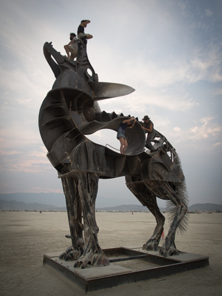 Coyote, Burning Man photo