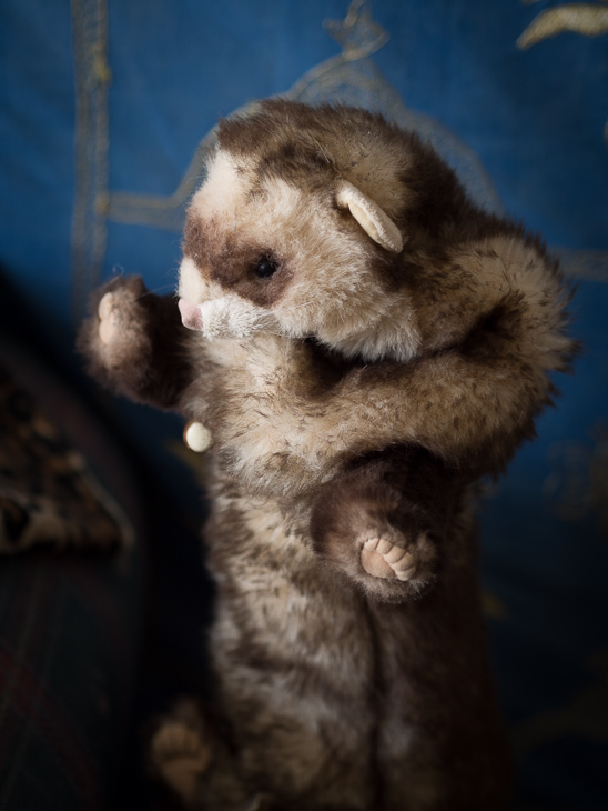 Winthrop Woozel, Ganesh Camp photo