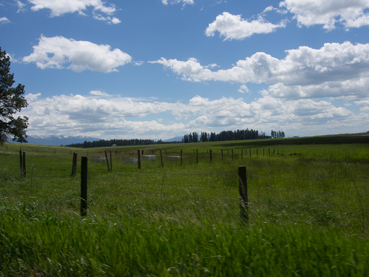 Mission Valley, Montana Road Trip photo