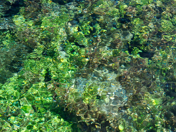 Giant Springs, Montana Road Trip photo