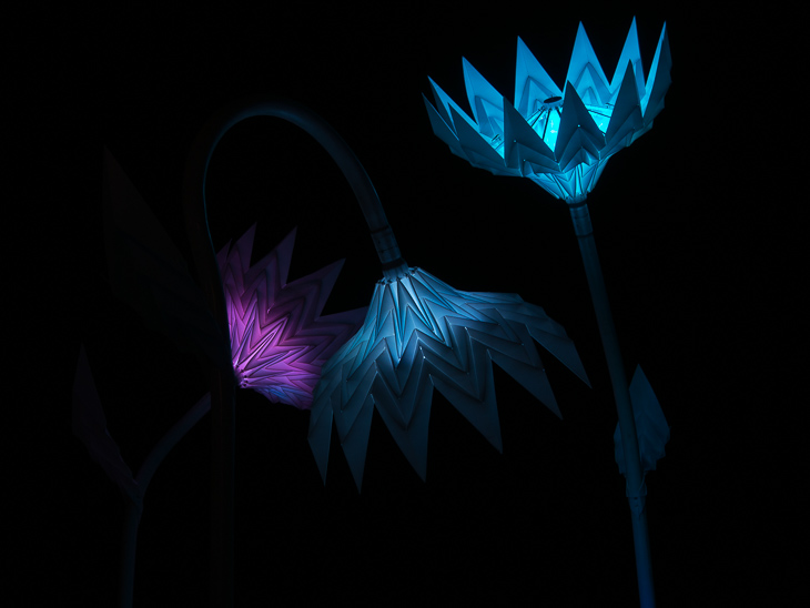 Blumen Lumen, Burning Man photo