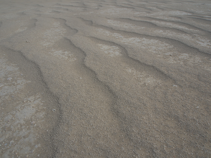 Playa Dunelets, Burning Man photo