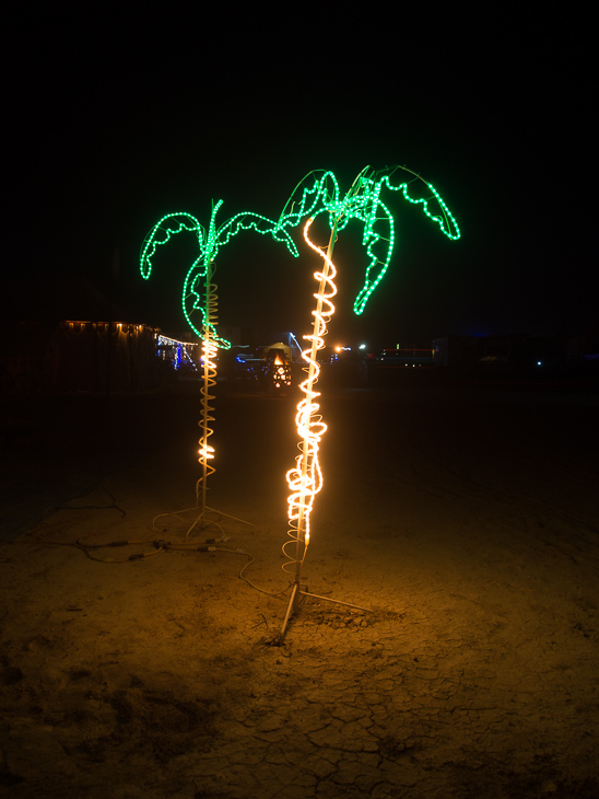 Ganesh Palm Trees, Burning Man photo