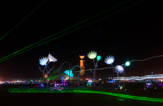 Blumen Lumen, Burning Man photo