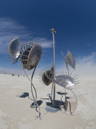 Fly Trap, Burning Man photo
