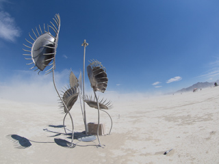 Fly Trap, Burning Man photo