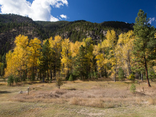 Fall Folliage, Rock Creek Fall Foliage photo