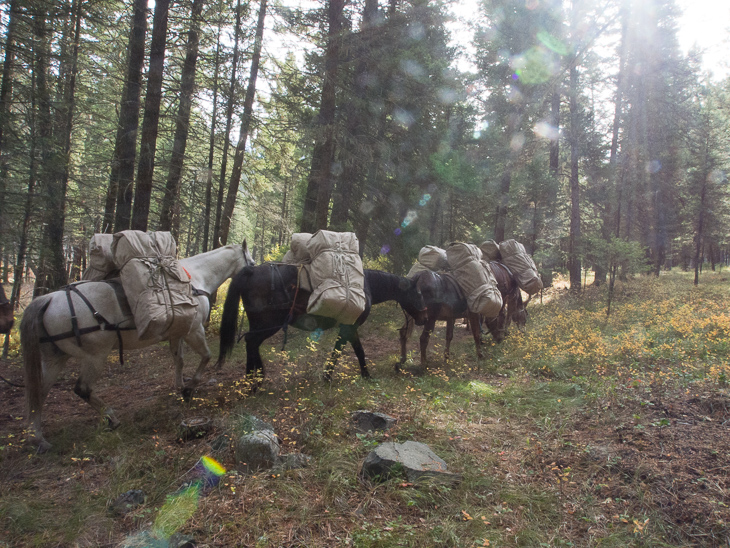 Pack Train, Ranch Creek Pack Train photo