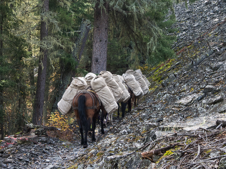 Talus Slope, Ranch Creek Pack Train photo