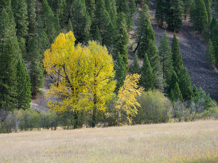 Fall Foliage, Ranch Creek Pack Train photo